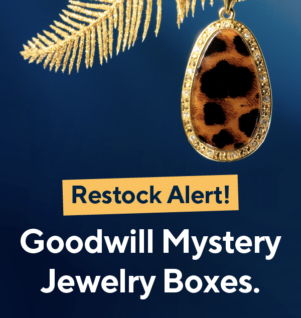 RESTOCKED: Goodwill Mystery Jewelry Boxes