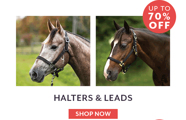 Up to 70% off Halters & Leads.