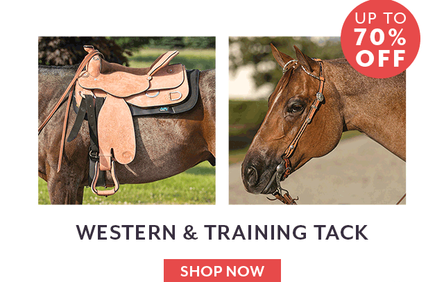 Up to 70% off Western & Training Tack.