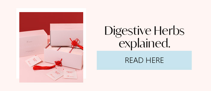 Digestive Herbs Explained
