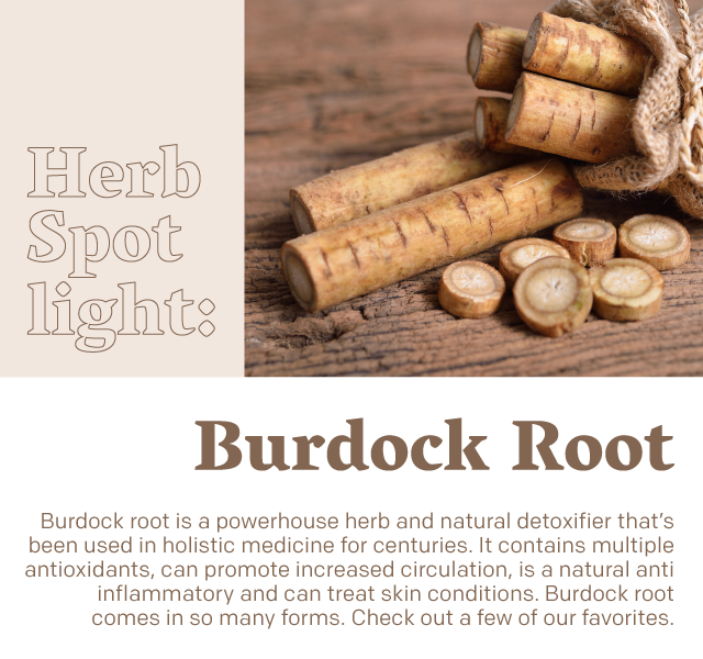 Shop Burdock Root