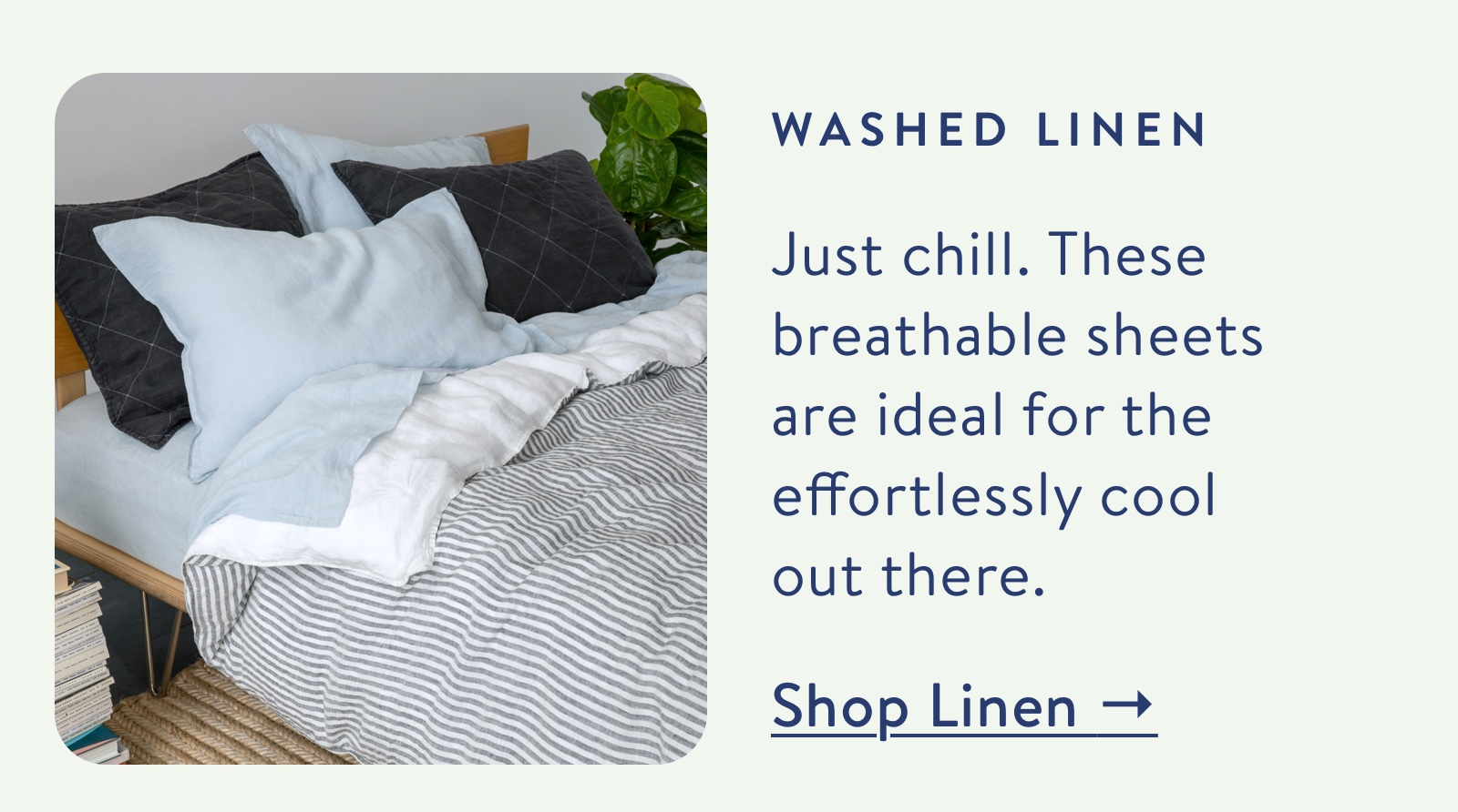 Washed Linen