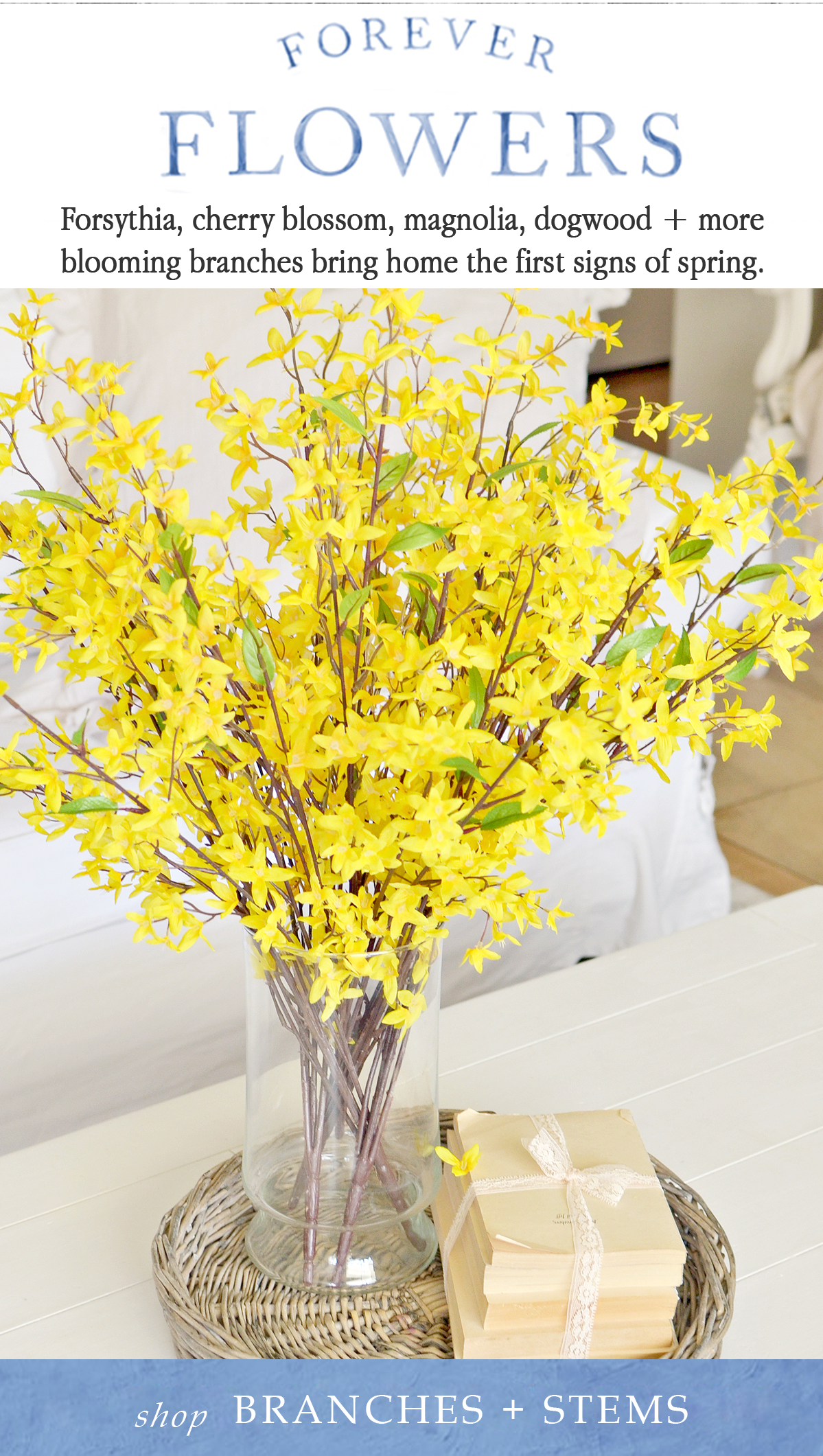 Forever Flowers Forsythia, cherry blossom, magnolia, dogwood + more blooming branches bring home the first signs of spring. Shop Branches + Stems