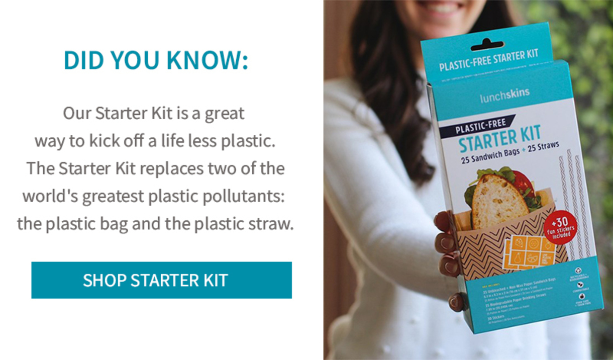 Lunchskins Plastic-Free Starter Kit