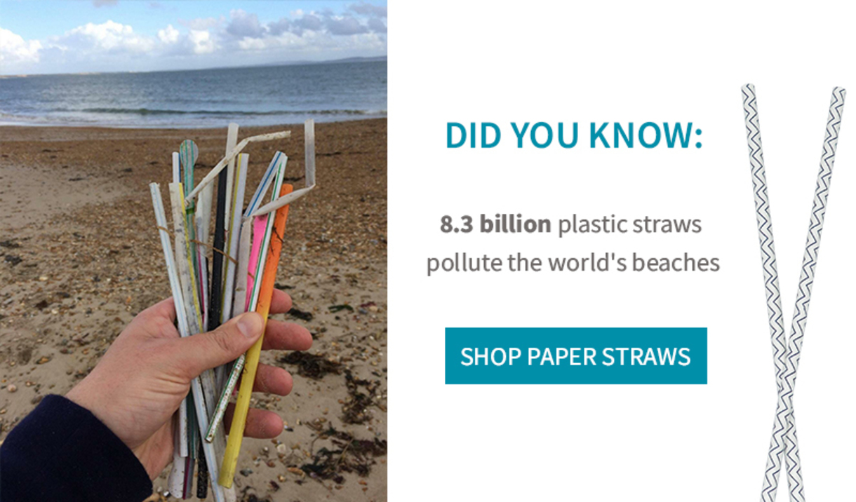 Lunchskins NEW Long-Lasting Paper Straws