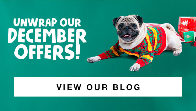 Unwrap Our December Offers Blog