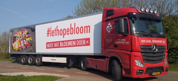 Vrachtwagen Bloom