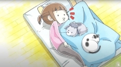Cuddle Up with Crunchyroll's 'With a Dog AND a Cat, Every Day is
Fun'
