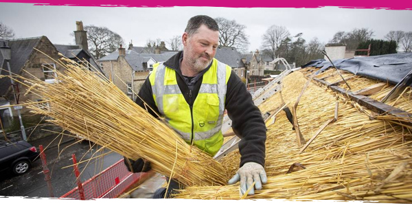 Re-thatching work taking place on the roof of Burns Cottage