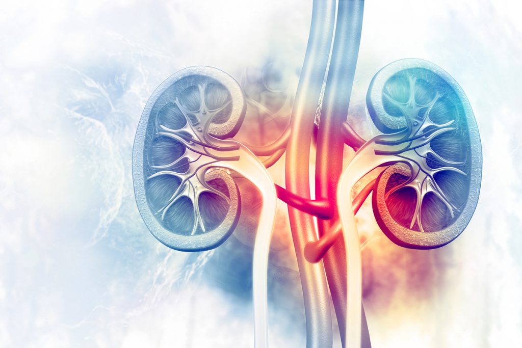 Most Americans Unaware of COVID-19 Kidney Injury Risk