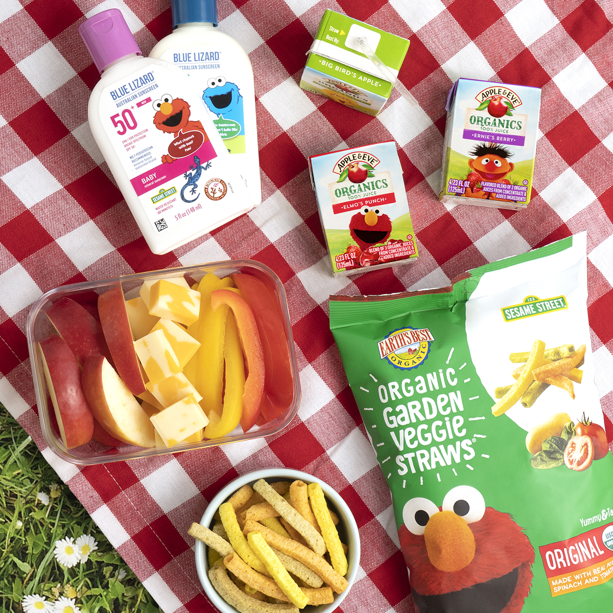 Picnic scene with Blue Lizard Sunscreen, Apple & Eve juice boxes and Earth''s Best Organic Garden Veggie Straws