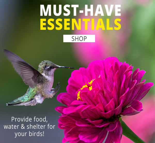Must-Have Birding Essentials! Shop Now!