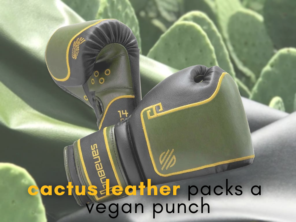 Packing A Prickly Punch: Here Are The World's First Boxing Gloves Made From Cactus Leather