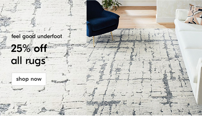 25% off all rugs