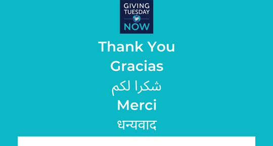 Giving Tuesday Now Thank You