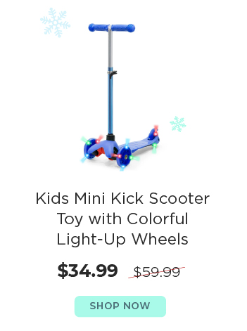 Mini Kick Scooter $34.99