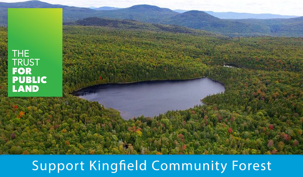 Support Kingfield Community Forest