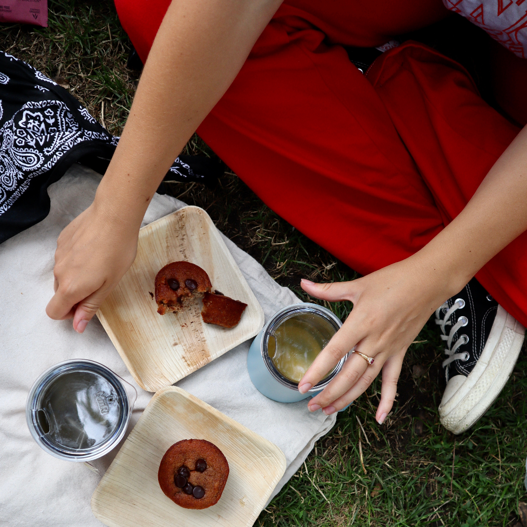 Person picnicking in New York City.