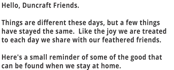 Things are different these days. But some things have stayed the same. Like the joy we are treated to each day we share with our feathered friends.