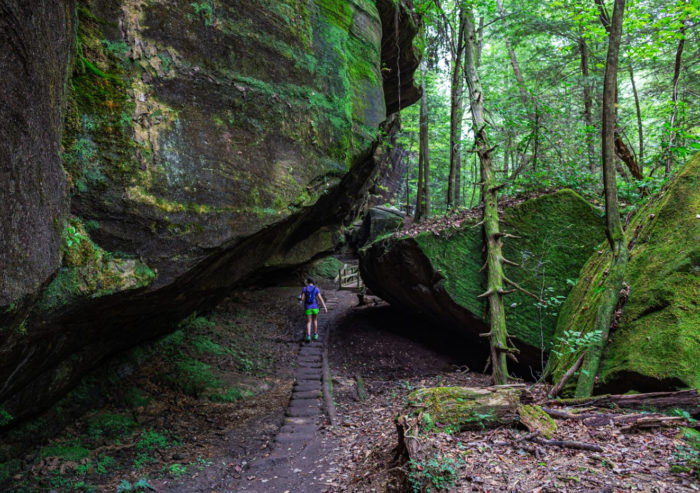 The Short And Scenic Hike Through Dismals Canyon In Alabama Is Straight Out Of A Fairytale