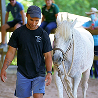 Warrior PATHH Equine Therapy