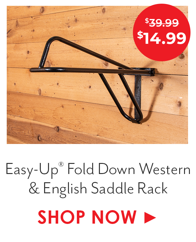 Easy-Up Fold Down Western & English Saddle Rack