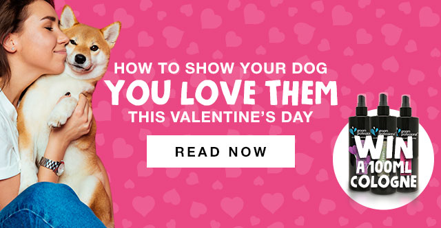 Check Out Our Valentine's Day Blog!