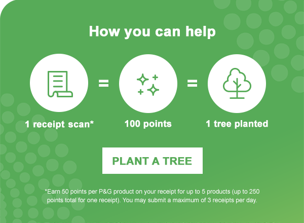 1 receipt scan = 100 points = 1 tree planted