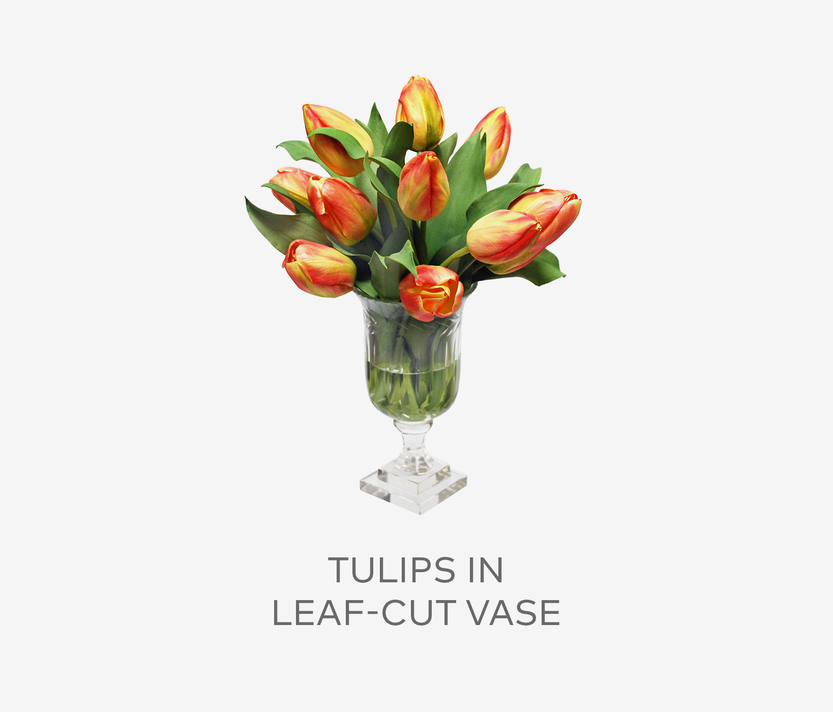 Tulips in Leaf-Cut Vase