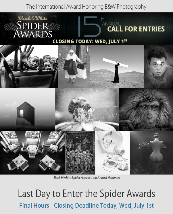 Last chance to enter 15th Spider Awards - Call for Entries Closing July 1st