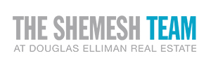 The Shemesh Team