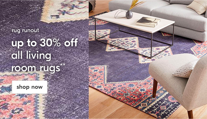 up to 30% off all living room rugs