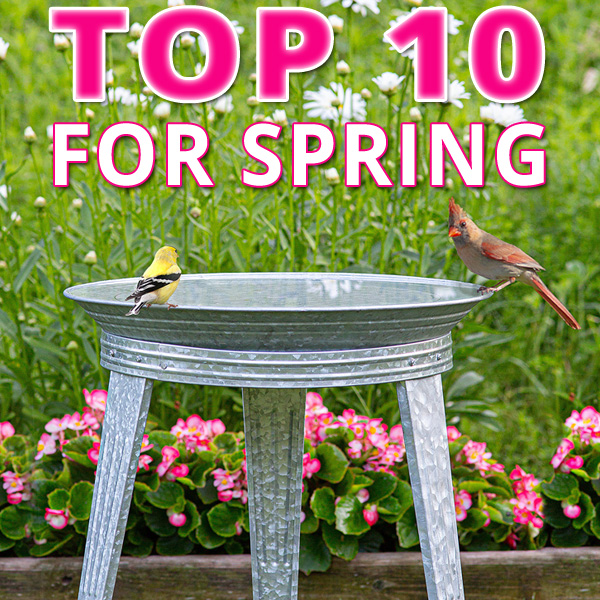 Top 10 Items for Spring!