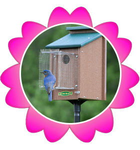 Bluebird House w/Pole and Guard!