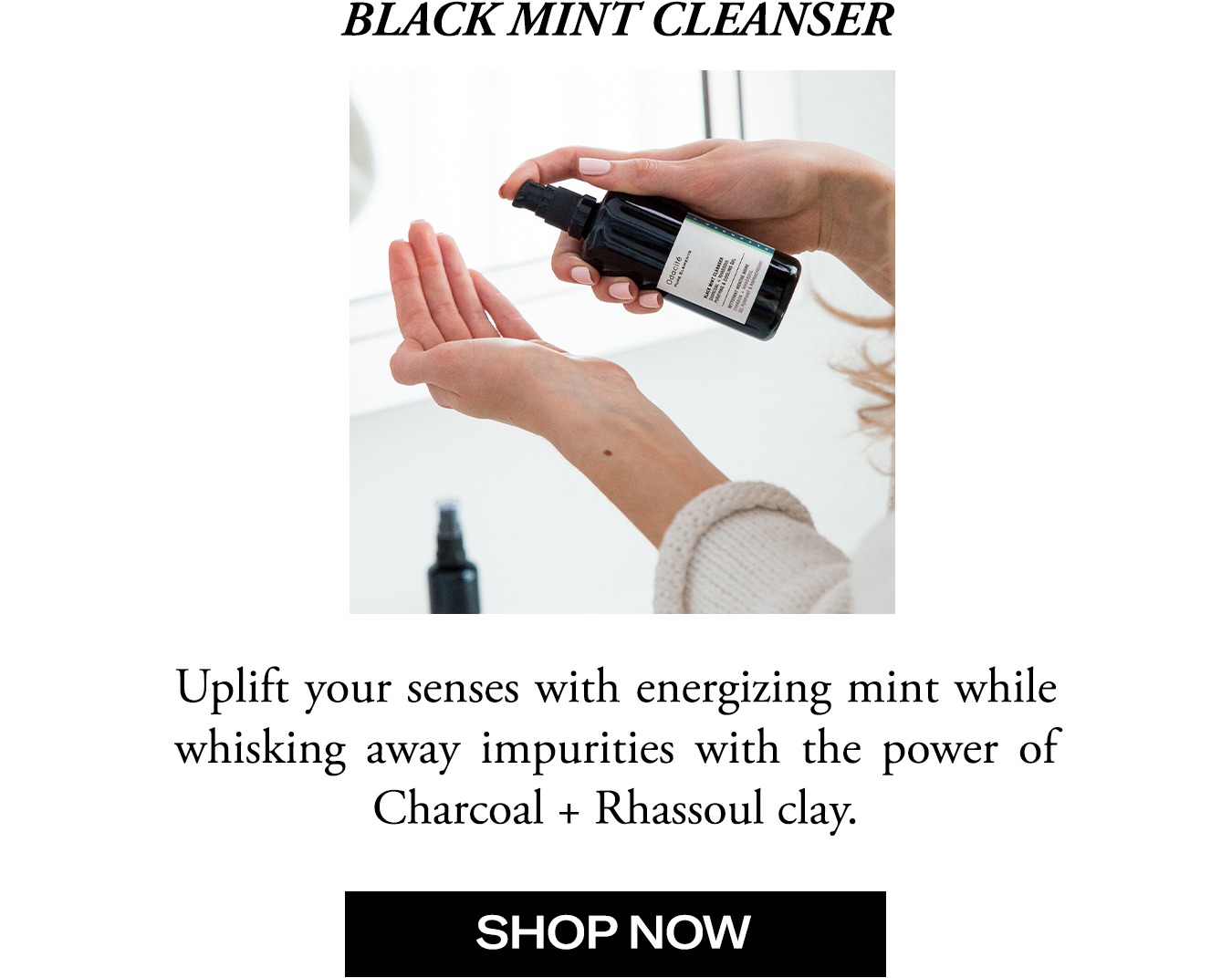 Shop Our Black Mint Cleanser
