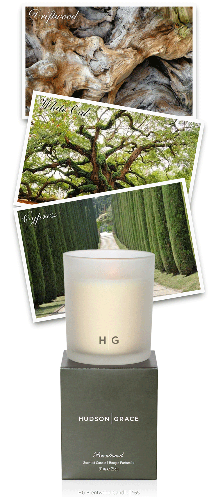 HG Brentwood Candle | $65