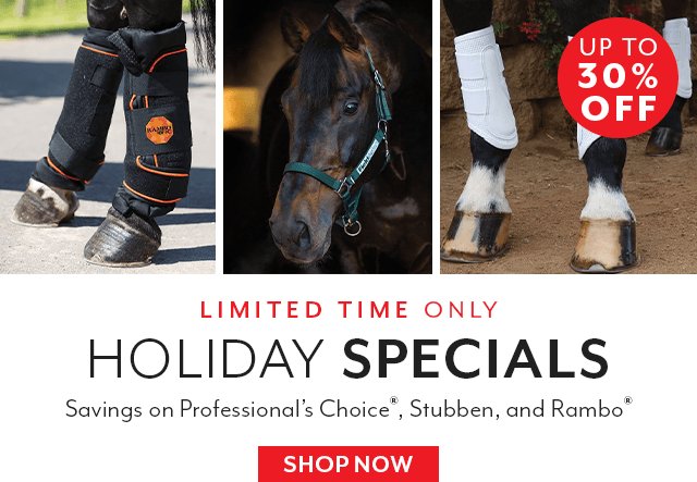 Holiday Savings, up to 30% off select brands. Limited time only. 