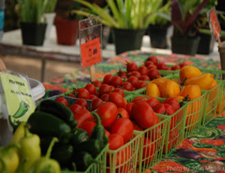 produce at farmers market