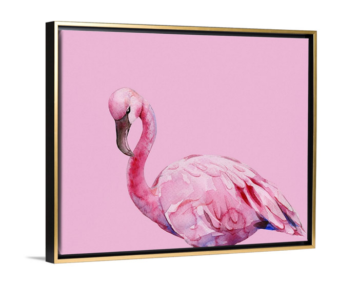 Pink Flamingo by Nikki Chu