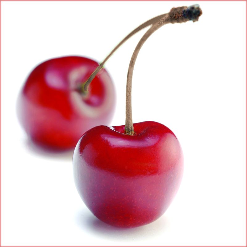 Two cherries on a stem