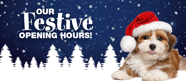 Our Festive Opening Hours
