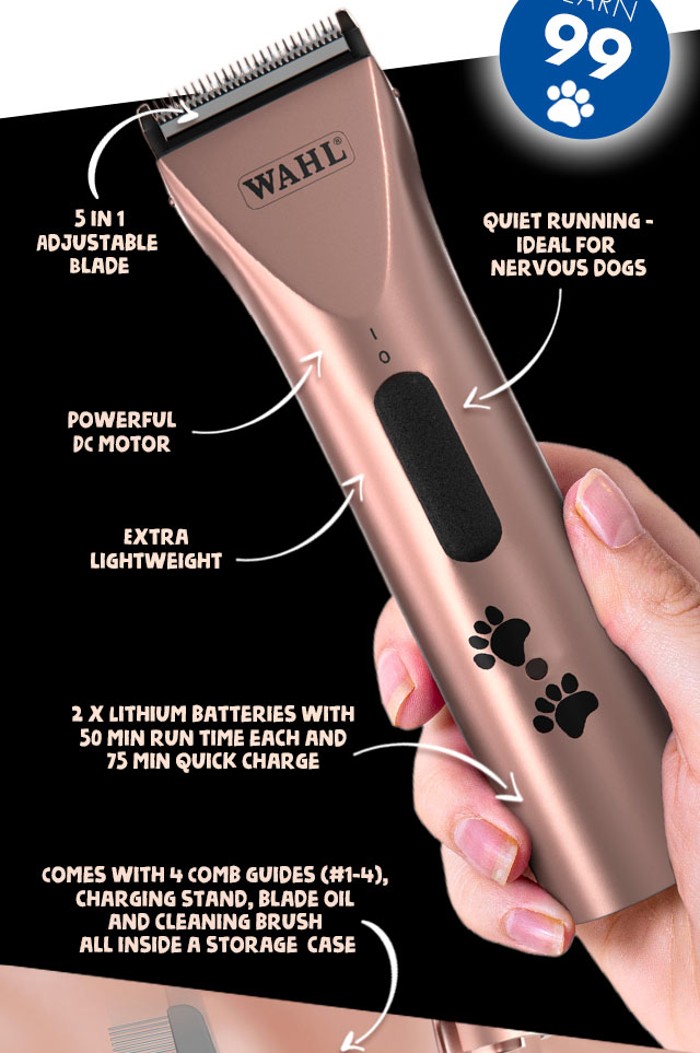 Wahl Arco Features