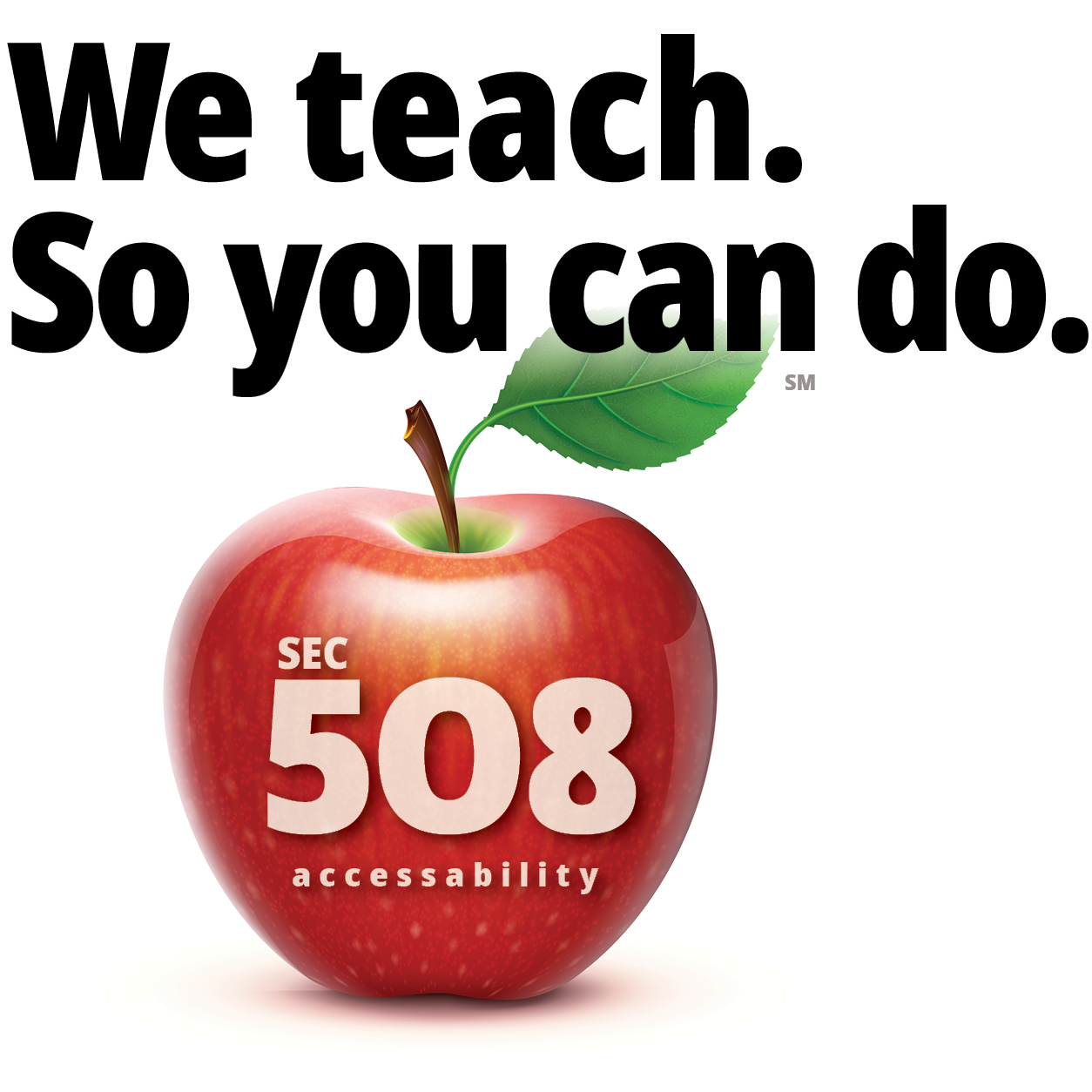 We teach. So you can do. Sec. 508 accessibility.
