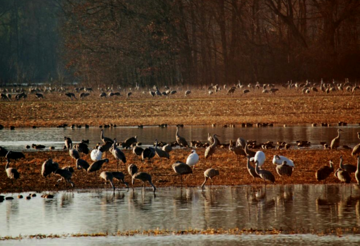 You''ll Never Forget A Visit To This Expansive Alabama Wildlife Refuge