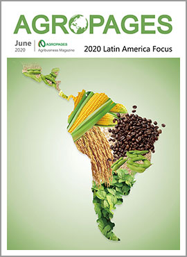 2020 latin america focus
