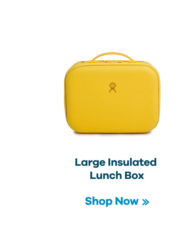 Large Insulated Lunch Box | Shop Now >>