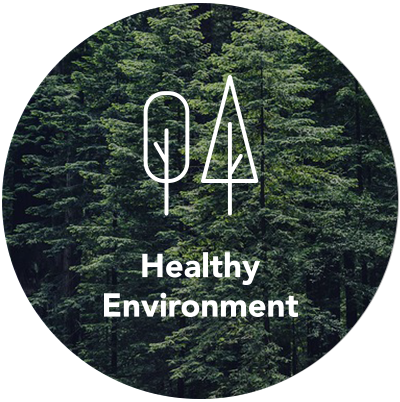 Healthy Environment