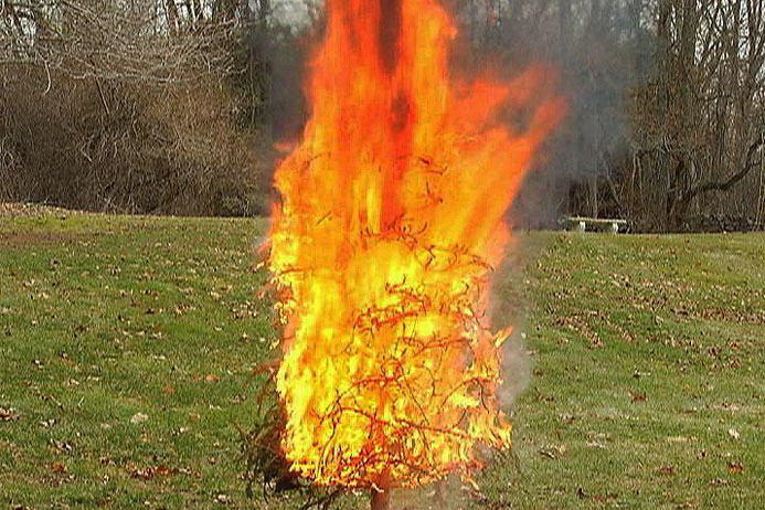 In Seconds an Overly Dry Christmas Tree Can Become an Inferno. See For Yourself. - screenshot