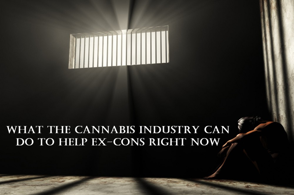 CANNABIS FOR EX CONS
