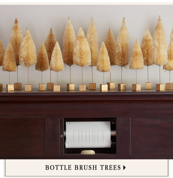Bottle Brush Trees